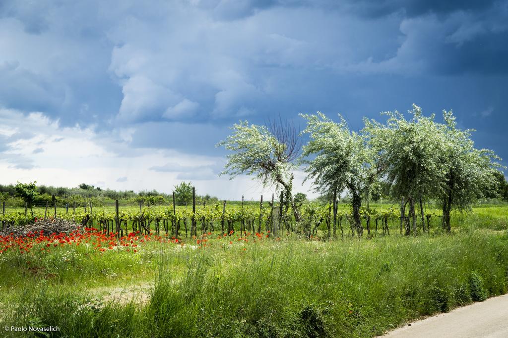 Holiday Home Sofia Porec Ngoại thất bức ảnh
